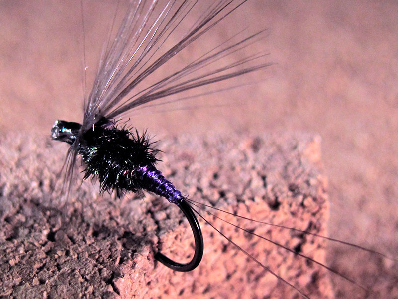 Morado pavo real mosca ahogada principio temporada