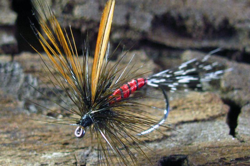 Mosca seca efémera rojo claro y pluma de gallo de León