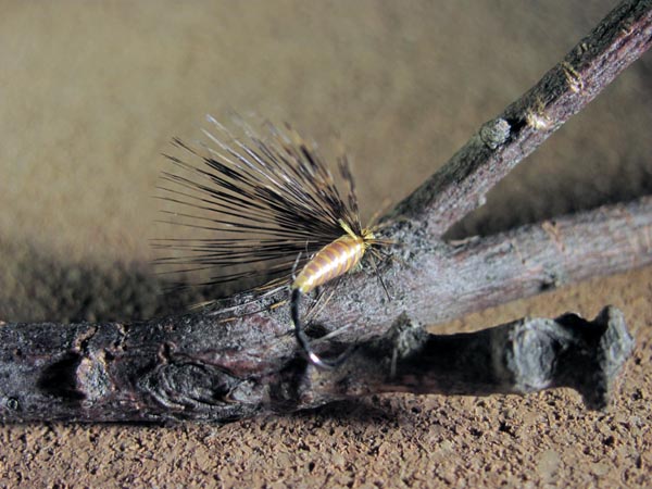 Mosca de León ahogada amarillo estría plateada, gallo pardo flor de escoba sin muerte #2