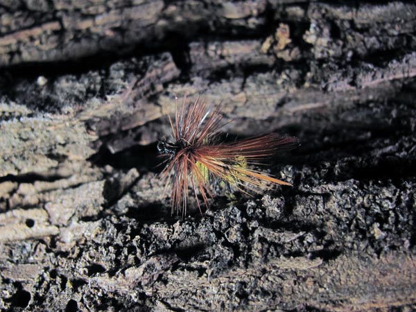 Mosca seca avispa con pluma de avestruz y gallo de León