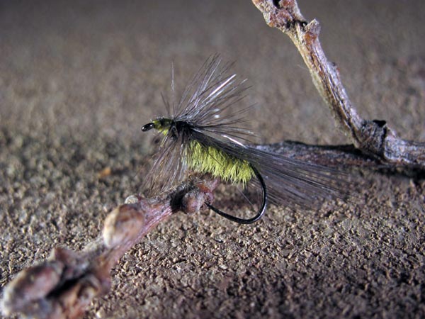 Mosca seca Tricóptero #28 avestruz verde claro y gallo de León indio acerado sin muerte 5