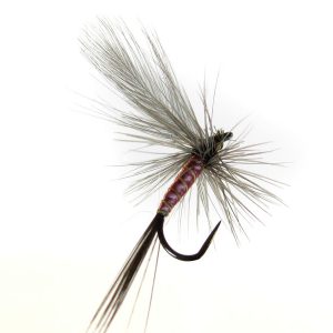 Efémera Rojo claro sin alas mosca seca - Pesca con mosca de León