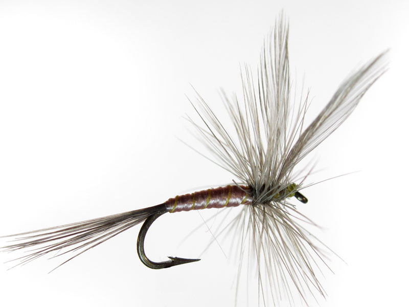 Mosca Seca Mosca seca Efémera #71 – Pesca con mosca de León