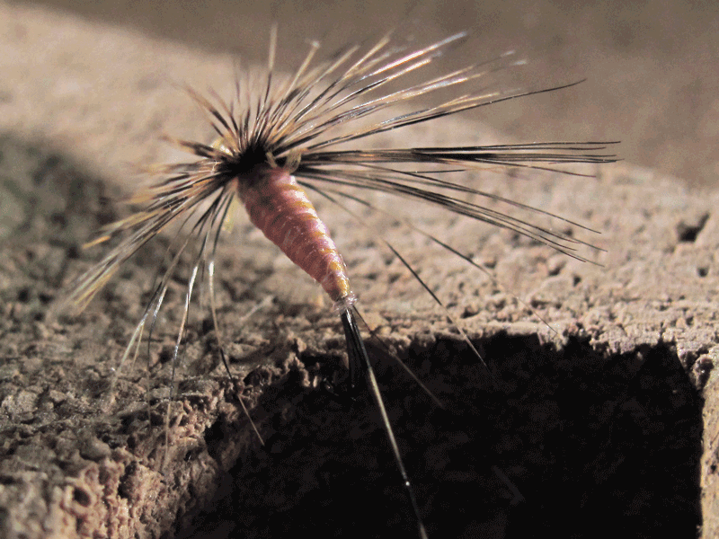 Mosca ahogada de pluma de gallo de León Pardo Rosa palo de verano.