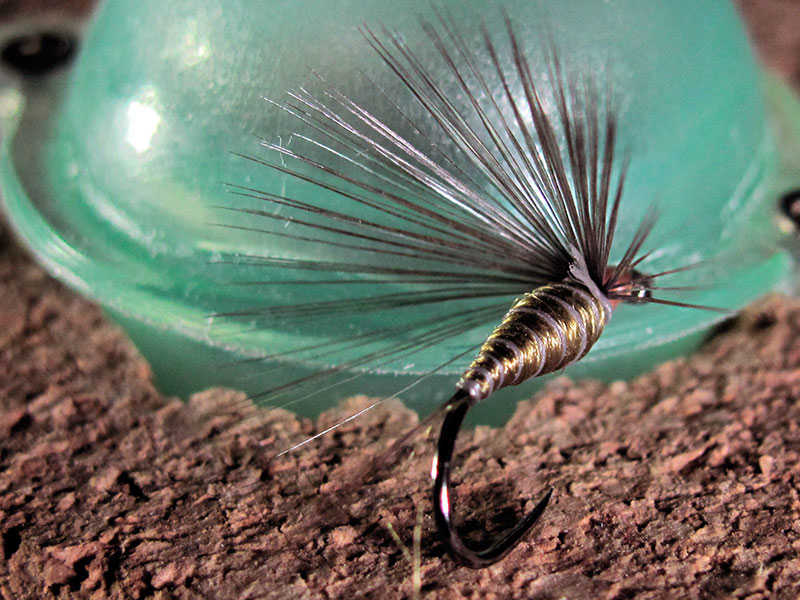 Mosca ahogada Verde oliva con pluma Indio de gallo de León