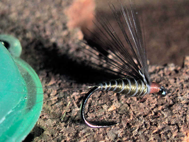 Mosca ahogada Verde oliva con pluma Indio de gallo de León