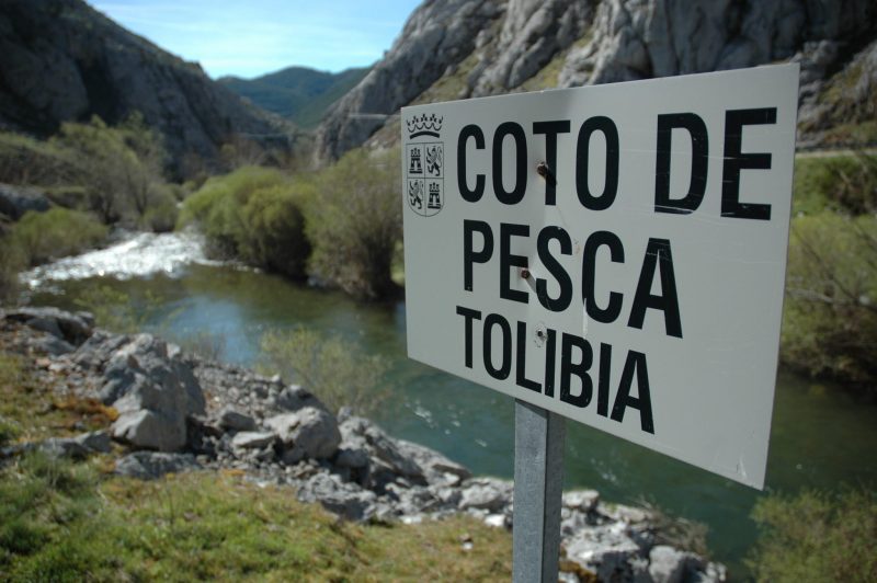 Coto de Tolibia